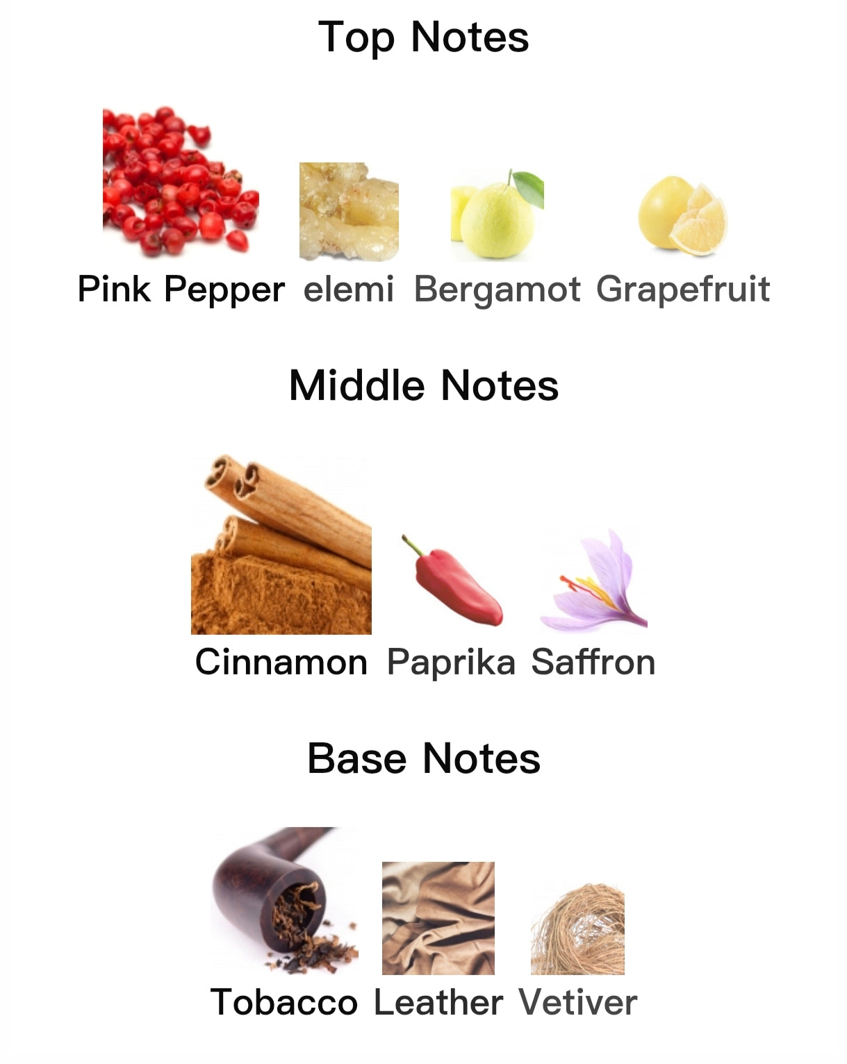 SPICEBOMB