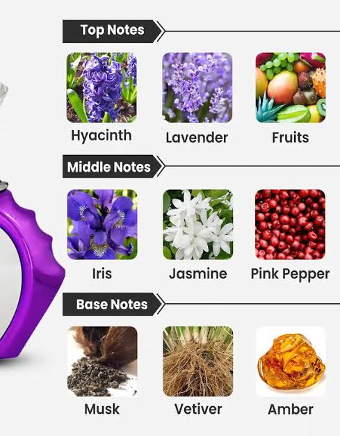 Lavender Oud By Al Maghribi