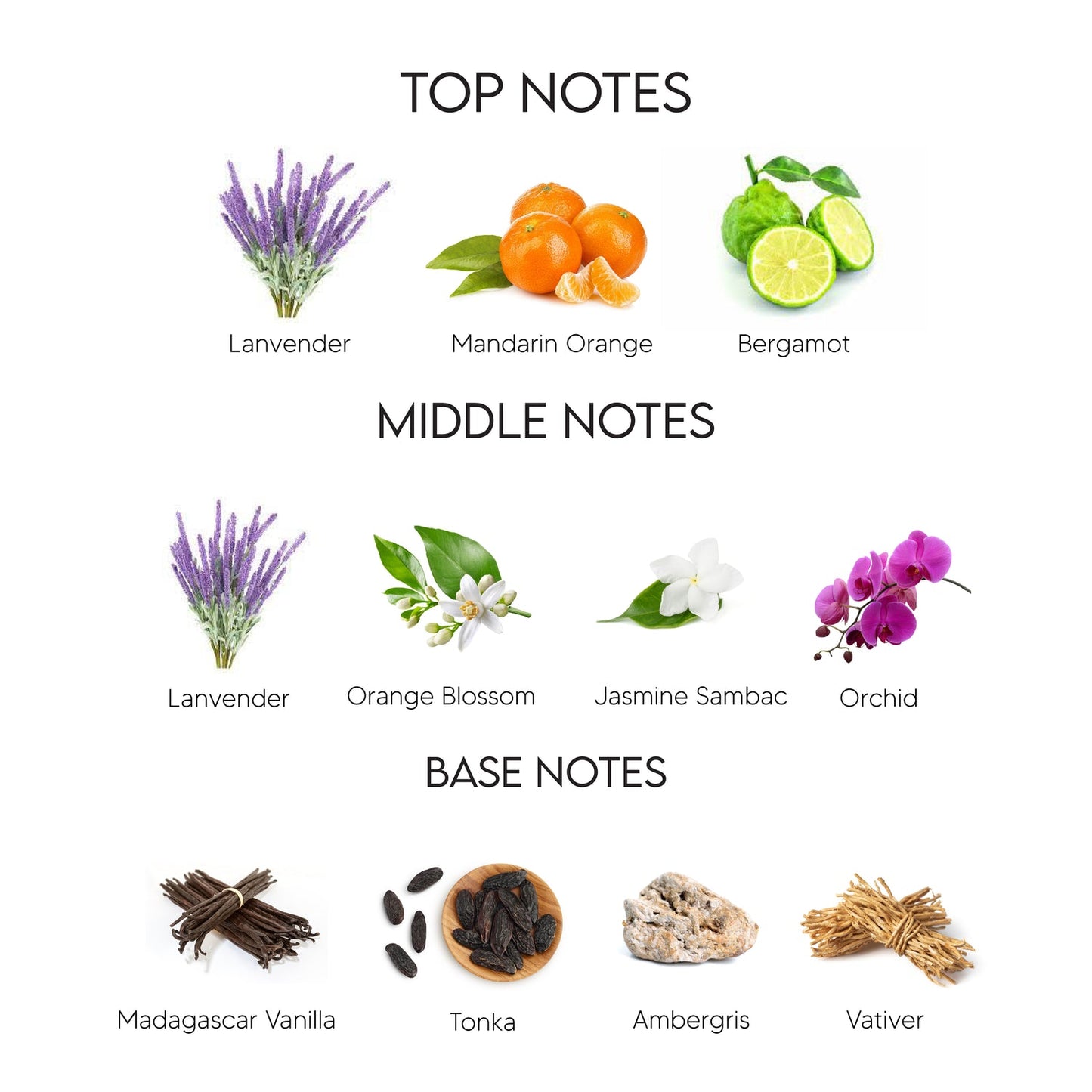 Libre Intense by master perfumer
